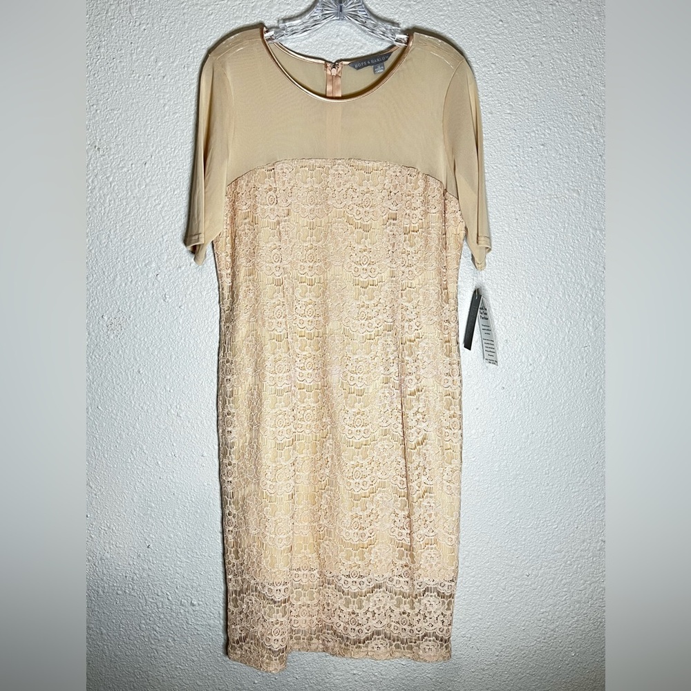 HARPER & HARLOW NWT Size 10 Lace Sheath Dress